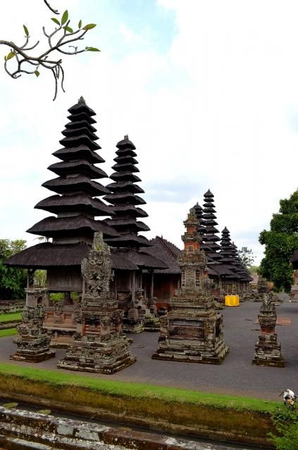  photo DSC_0479678x1024.jpg