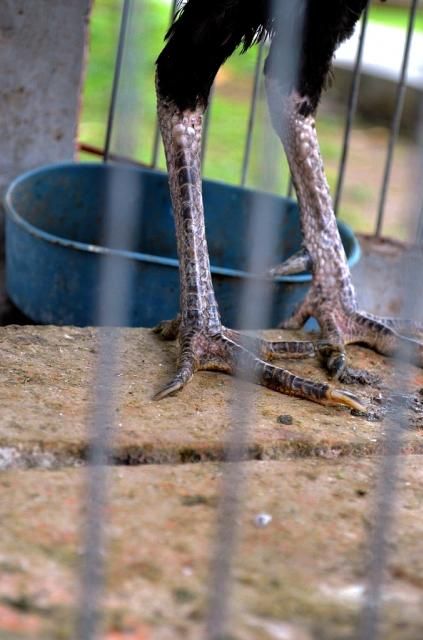  photo DSC_0488678x1024.jpg