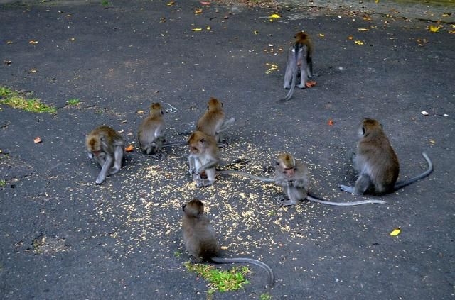  photo DSC_05461024x678.jpg