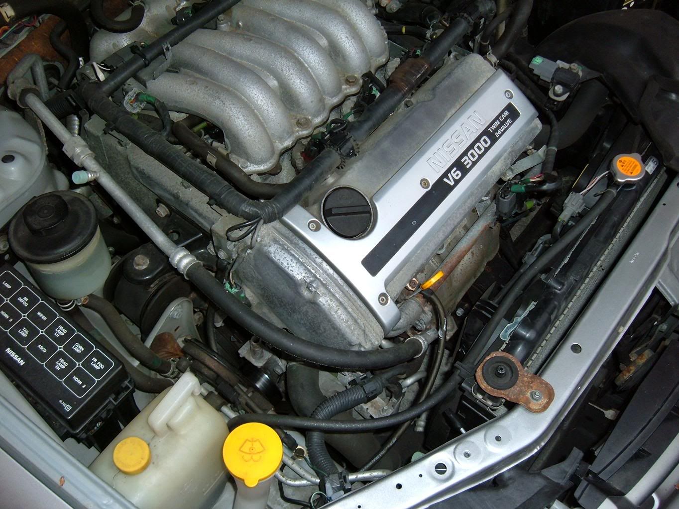 DSCF1733.jpg