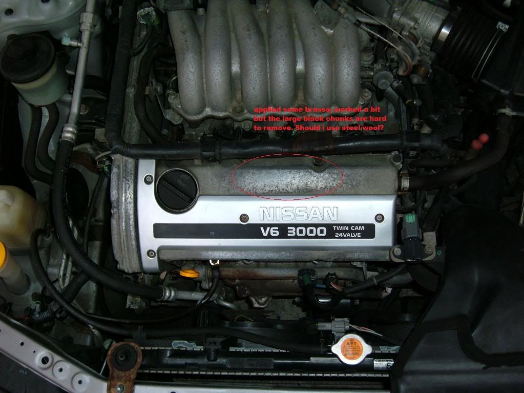 DSCF1734.jpg