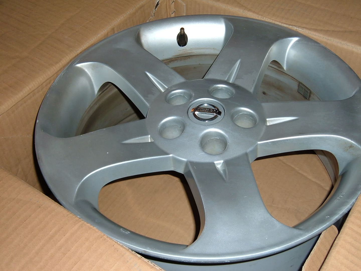 DSCF1763.jpg