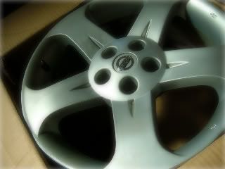 DSCF1765.jpg