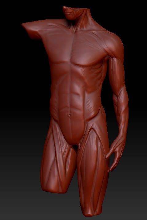 wip_4.jpg