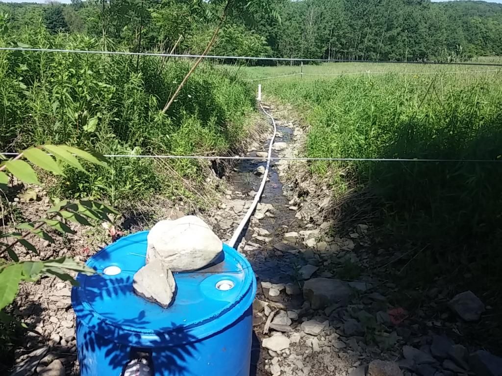 My ram pump/gravity water system (pic heavy) - Homesteading Questions