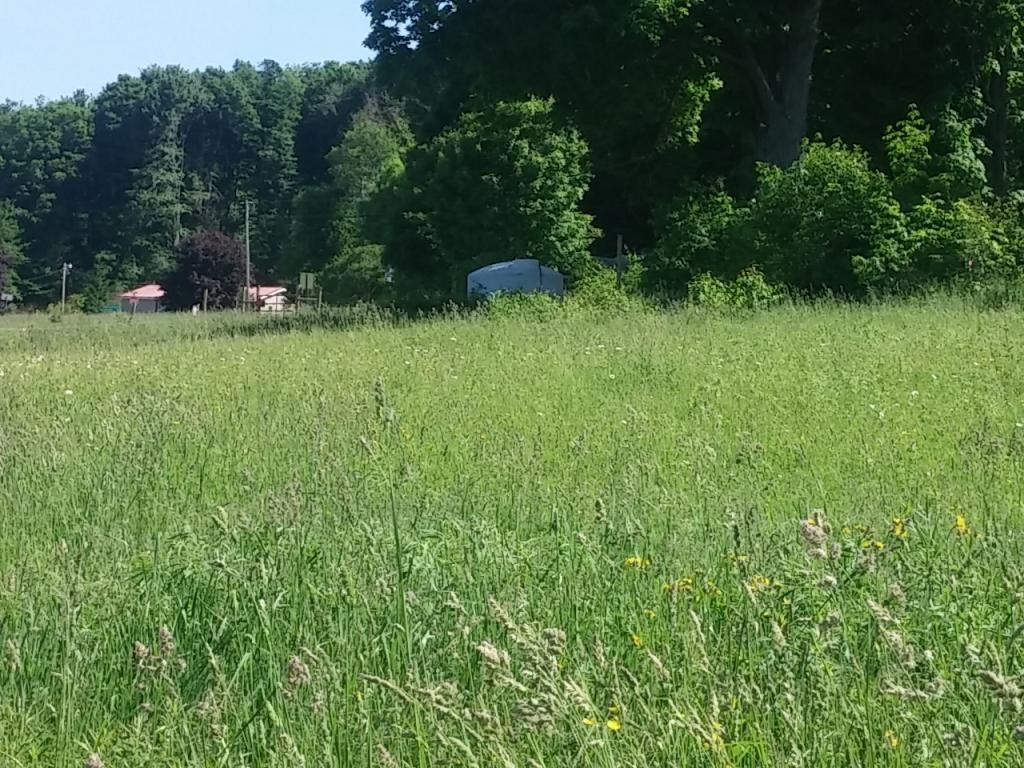 My ram pump/gravity water system (pic heavy) - Homesteading Questions