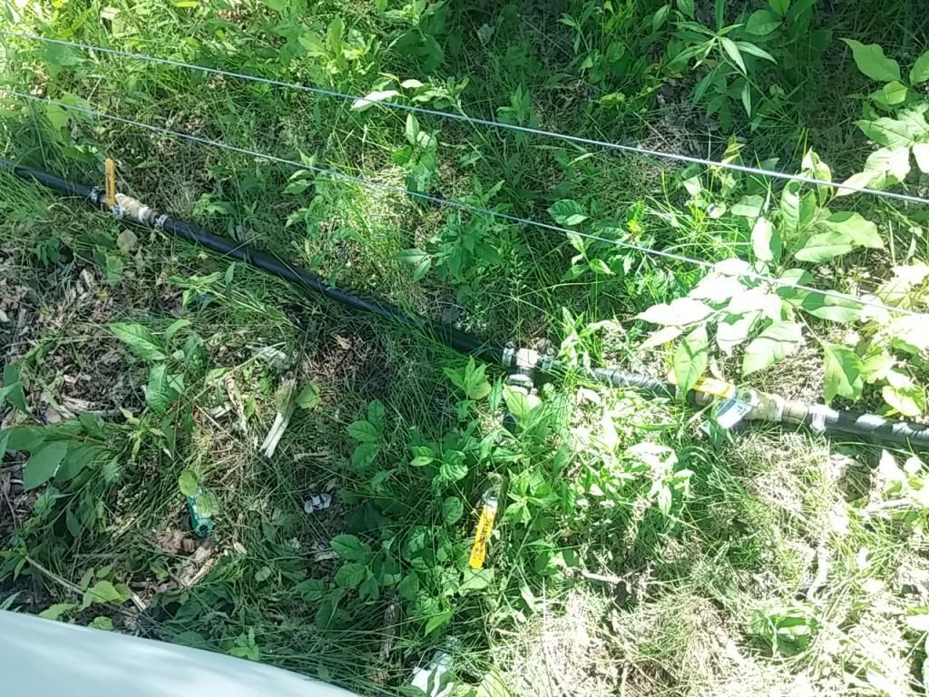 My ram pump/gravity water system (pic heavy) - Homesteading Questions