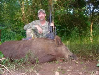 450BushmasterHog-Copy.jpg