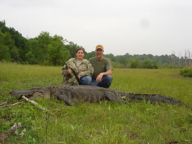 LanasGator.jpg