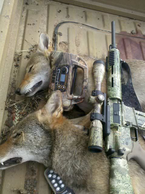 fosterranch.jpg