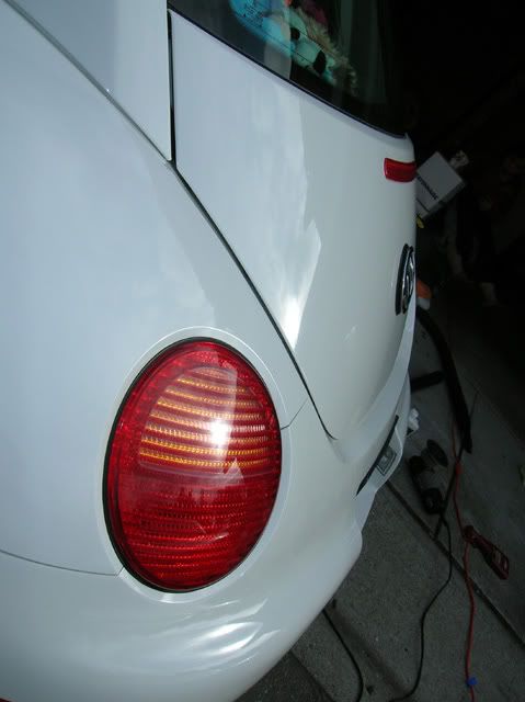 DSCN0266.jpg