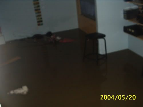 basement2.jpg