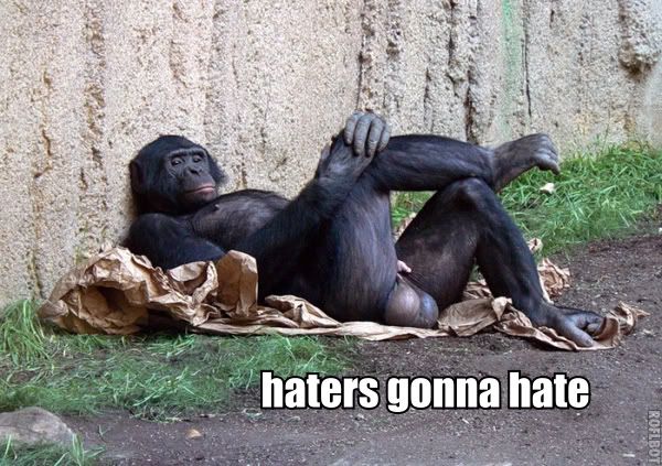 haters-gonna-hate-monkey-big-balls-1.jpg