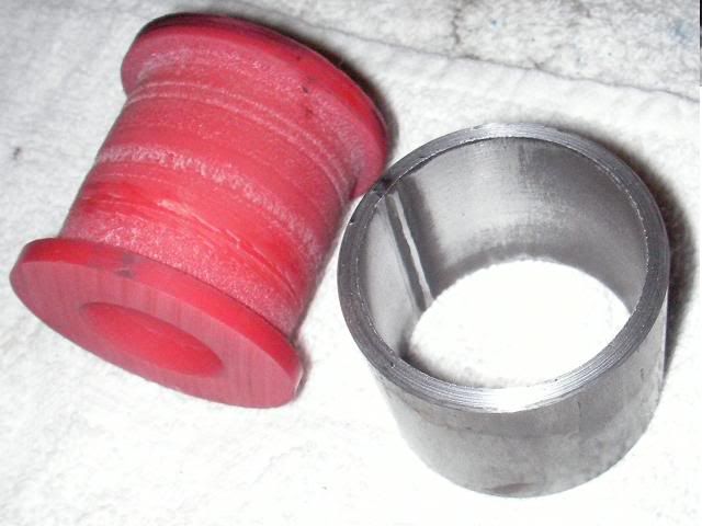 ARBBush1.jpg