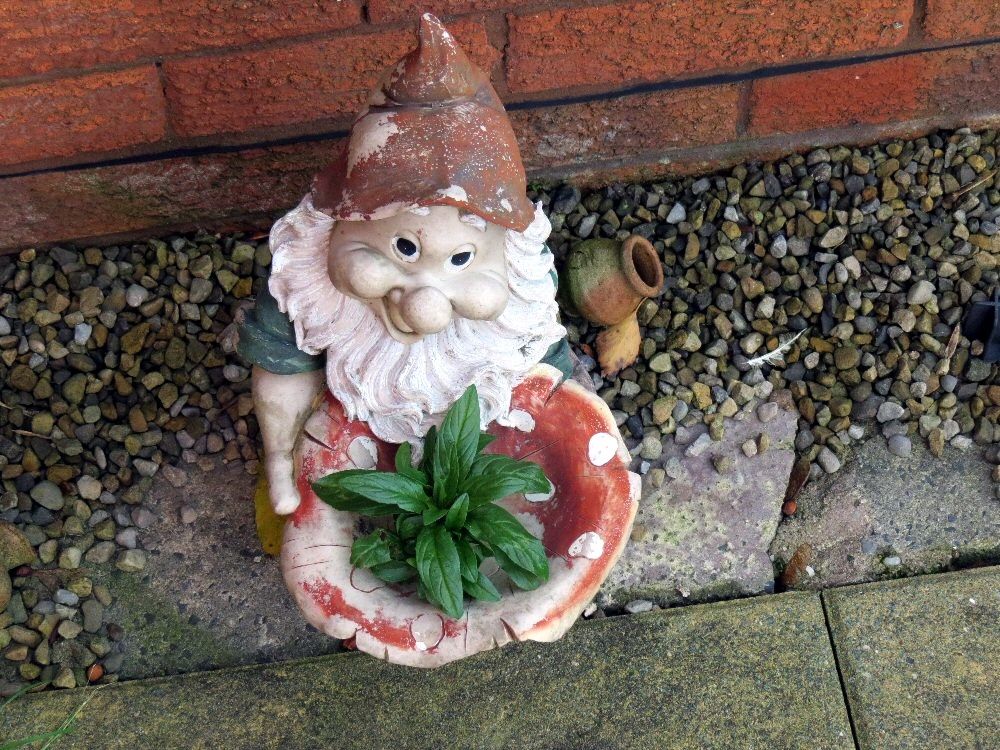 IMAGE: http://img.photobucket.com/albums/v93/reider/IMG_0695_zps3ceb67b6.jpg