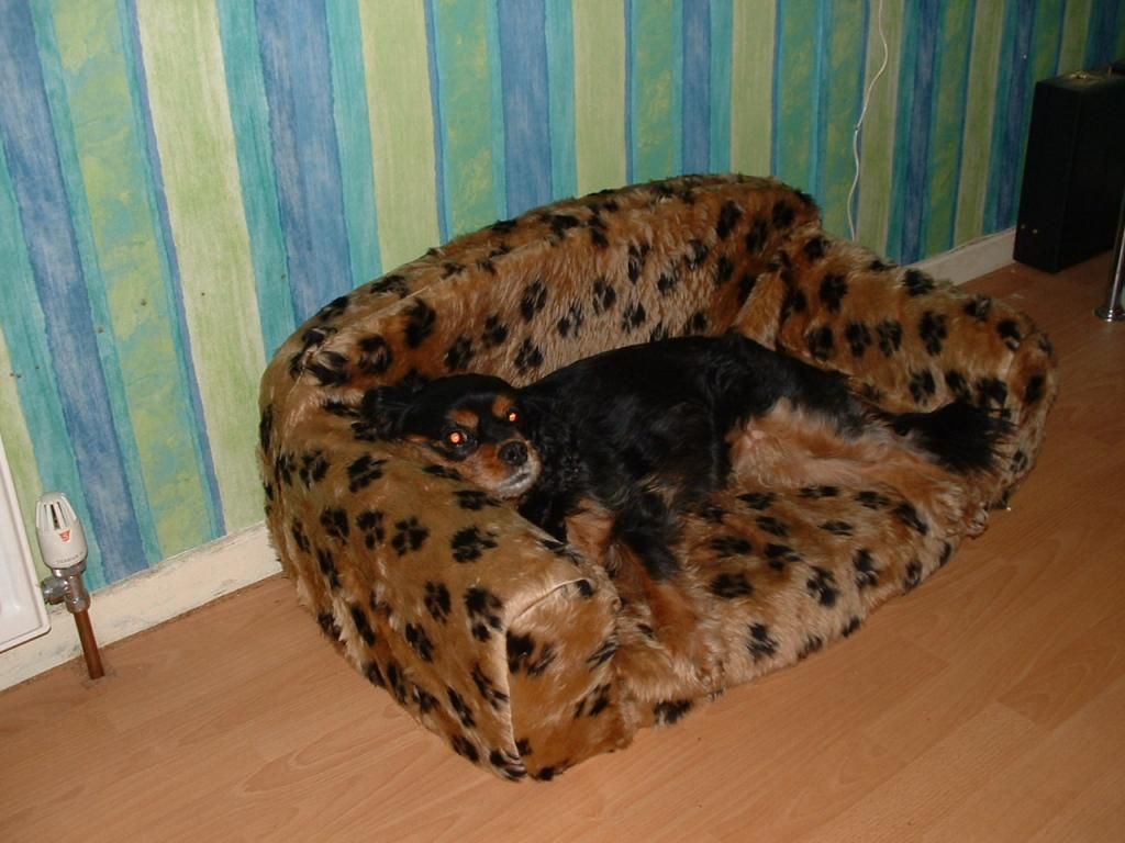 IMAGE: http://img.photobucket.com/albums/v93/reider/Picture028_zps57feefbd.jpg