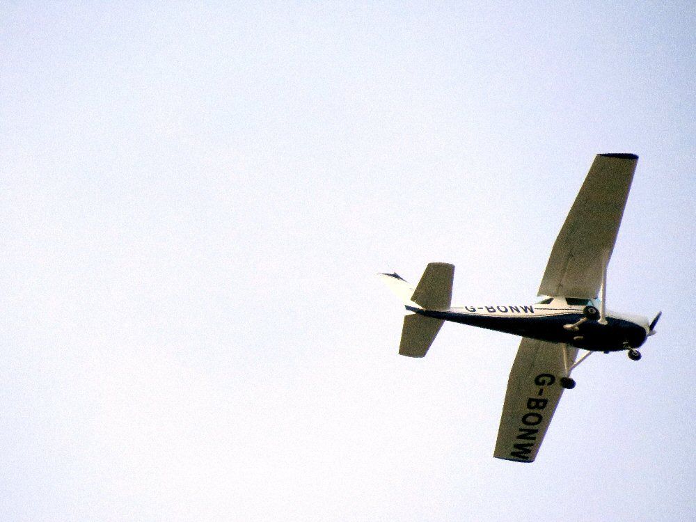 IMAGE: http://img.photobucket.com/albums/v93/reider/WoolP2014_zps980c984c.jpg