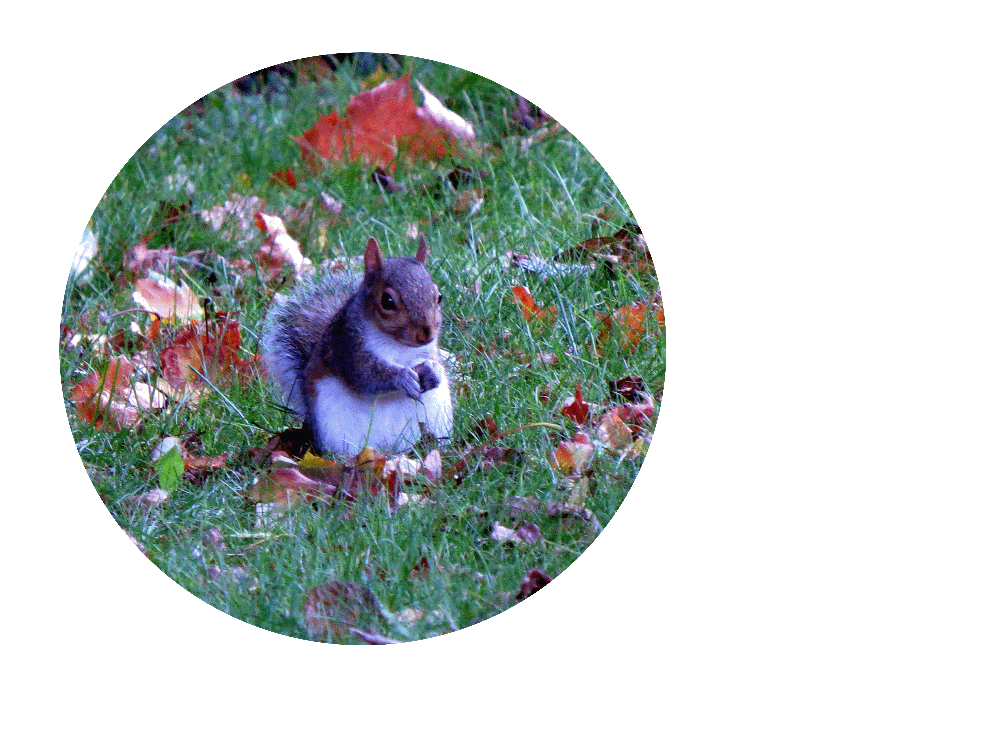 IMAGE: http://img.photobucket.com/albums/v93/reider/cid_23625D0BA53D4950AFAFCFAAA4B6D776MainPC_zps03b06581.png