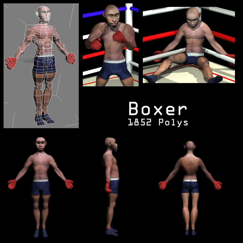 Boxer.jpg