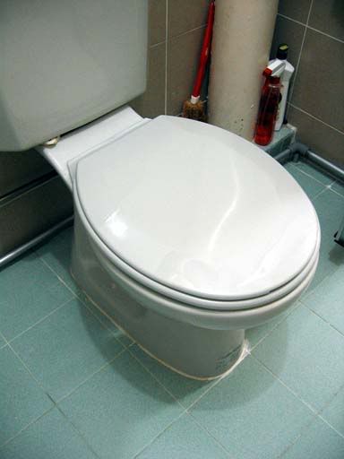 New Toilet Seat