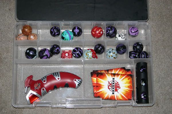 mycaseopen16x4.jpg