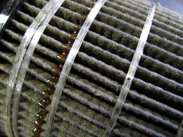 Picture012-1.jpg