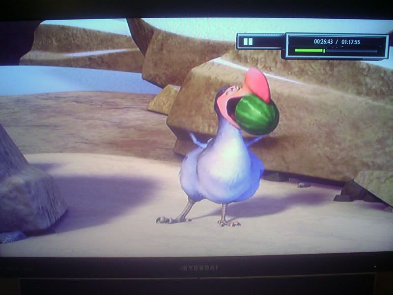 iceage1080ibird.jpg