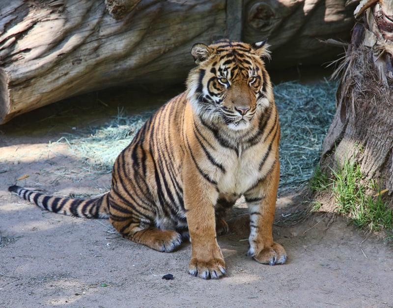 IMAGE: http://img.photobucket.com/albums/v95/meno222/IMG_1950_zpsc50279ba.jpg