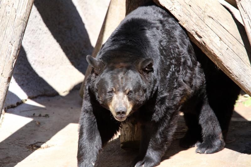 IMAGE: http://img.photobucket.com/albums/v95/meno222/IMG_2031_zps0a15a9ae.jpg