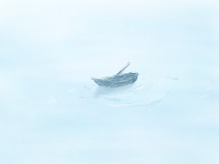'Adrift' by Seh Hui