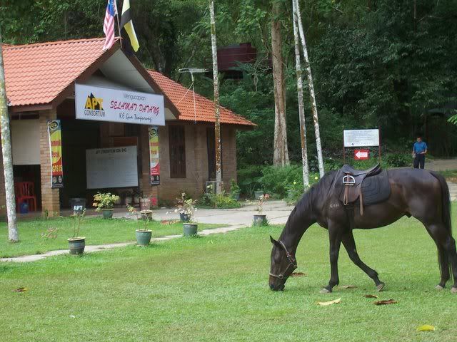 'Gua Tempurung Entrance'