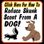 skunk-dog-remedy2.gif deskunk image by sugamunki