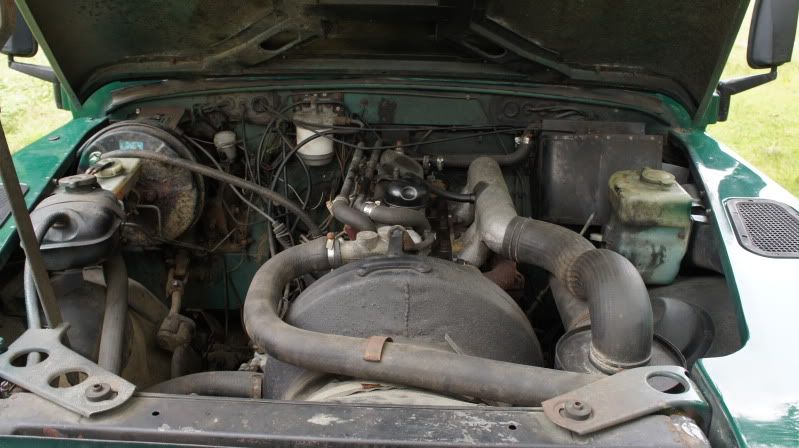 DSC08975.jpg
