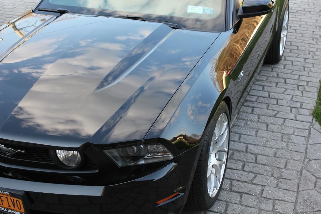mustang2013opti-coated011_zpse84353d7.jpg