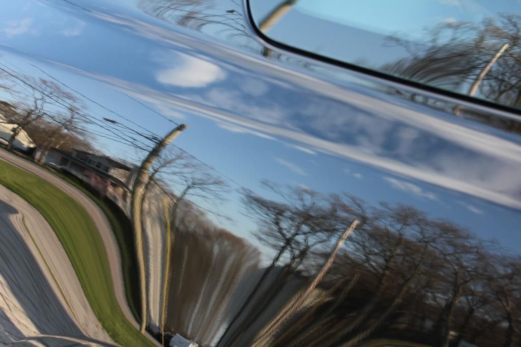 mustang2013opti-coated014_zpsb5b3083b.jpg