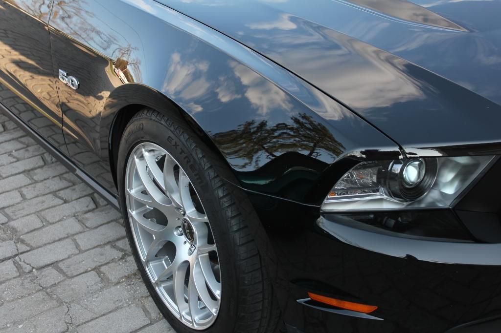 mustang2013opti-coated021_zpsa35dc51a.jpg