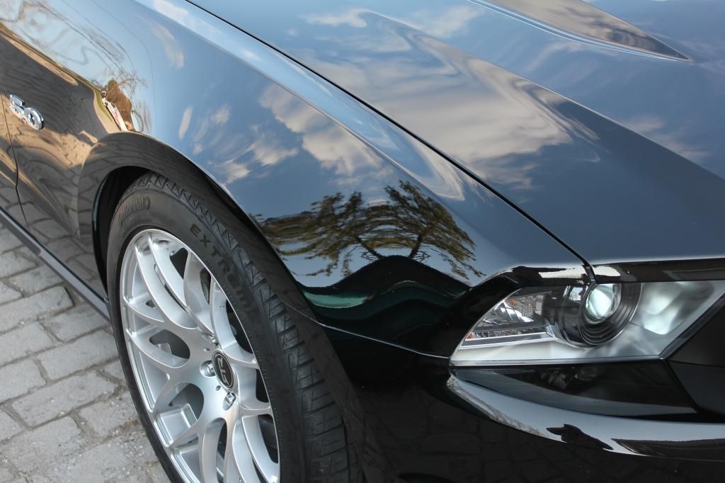 mustang2013opti-coated022_zps713b65ec.jpg