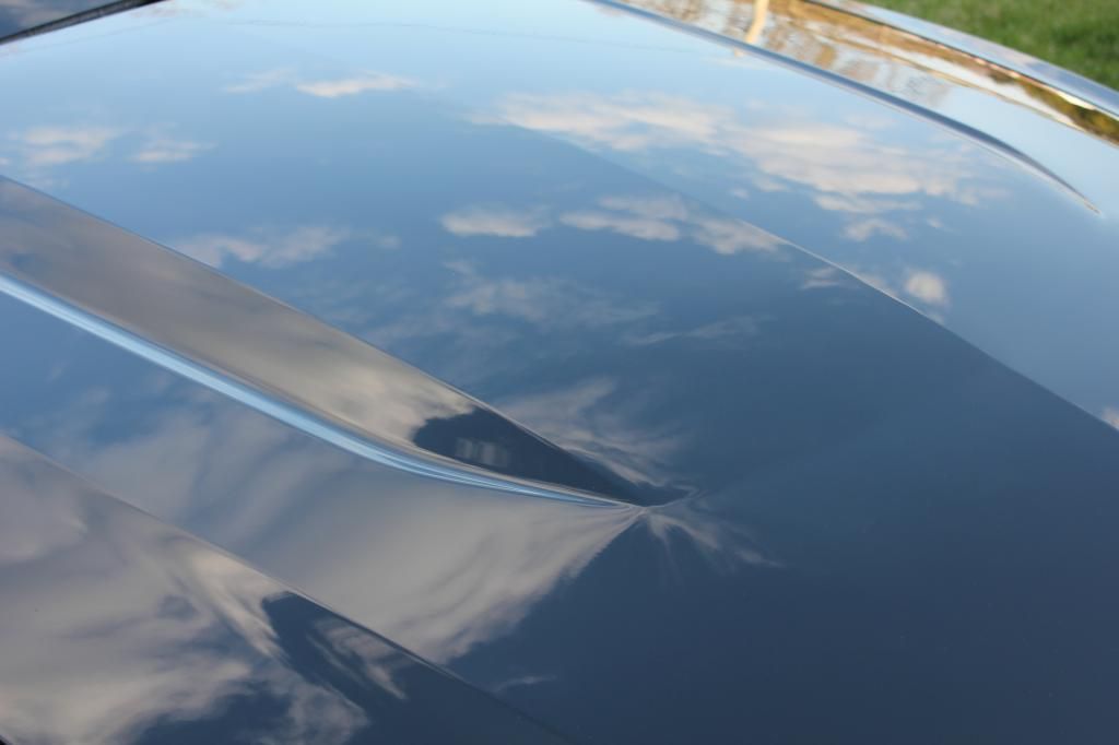 mustang2013opti-coated023_zpsce9d8938.jpg