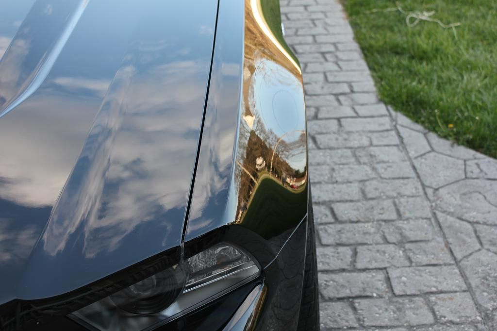 mustang2013opti-coated025_zps2c39822c.jpg