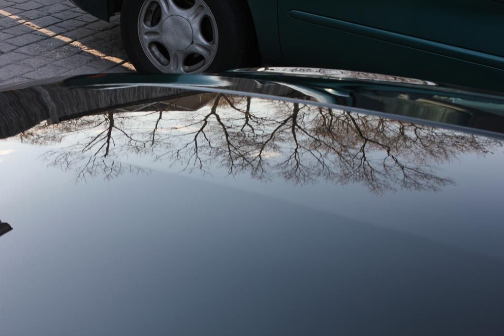 mustang2013opti-coated029_zpsaef89f0f.jpg