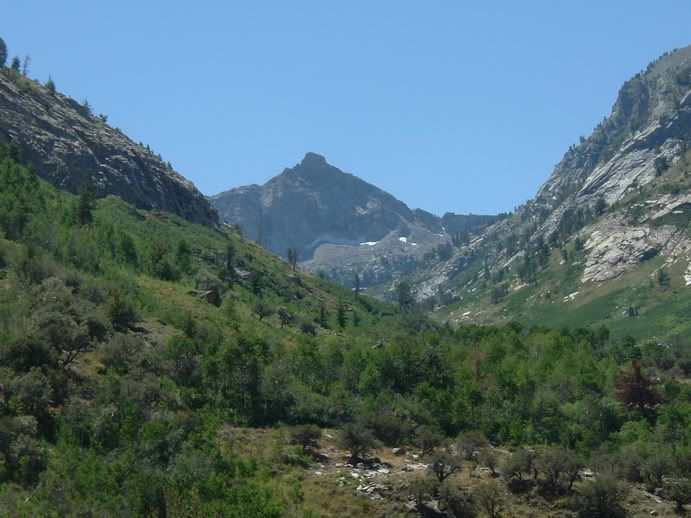lamoille011.jpg