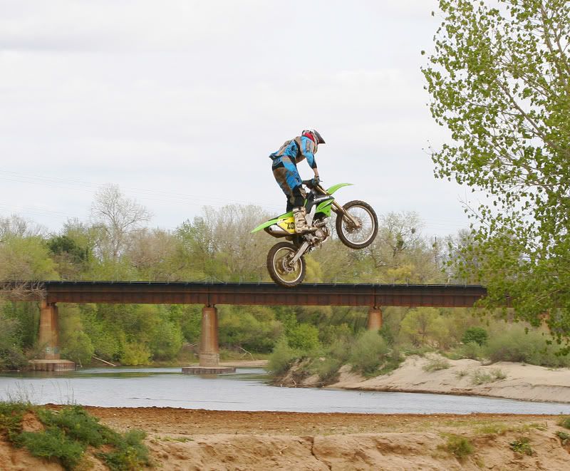 IMAGE: http://img.photobucket.com/albums/v96/terryg/dirt/dirt2.jpg