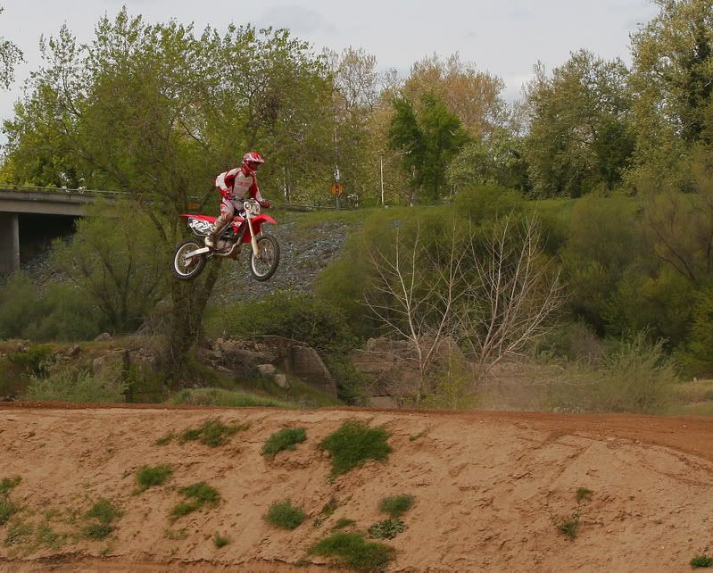 IMAGE: http://img.photobucket.com/albums/v96/terryg/dirt/dirt4.jpg