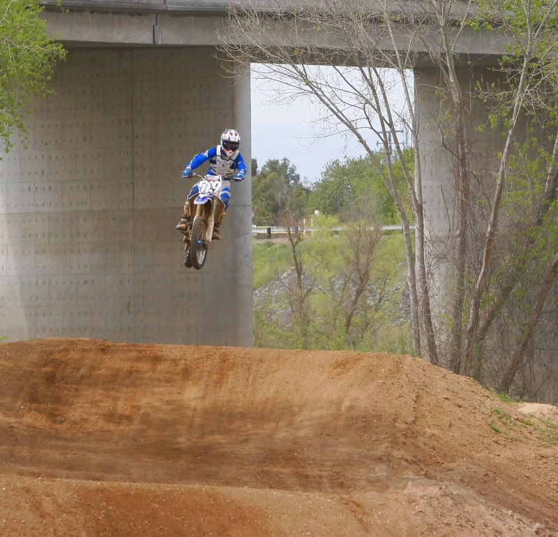 IMAGE: http://img.photobucket.com/albums/v96/terryg/dirt/dirt5.jpg