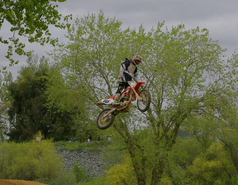 IMAGE: http://img.photobucket.com/albums/v96/terryg/dirt/dirta.jpg