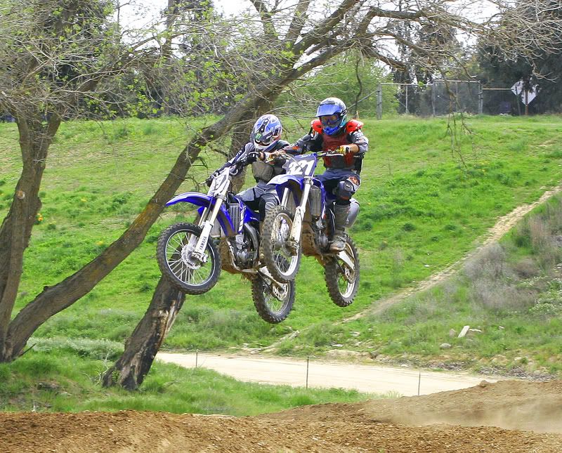 IMAGE: http://img.photobucket.com/albums/v96/terryg/dirt/dirtd.jpg