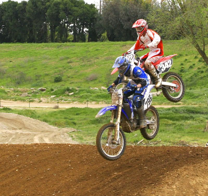 IMAGE: http://img.photobucket.com/albums/v96/terryg/dirt/dirte.jpg