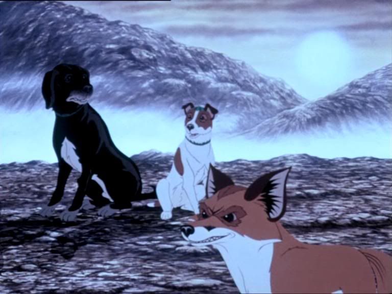 (1982, Rosen) The Plague Dogs Plague dogs, Cute animals, Dogs and puppies