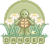 It's a Lemondrop Turtle with a Firefly!!