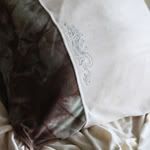 Dragon's Lair OBV Pillowcase